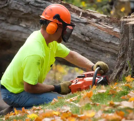 tree services Benton